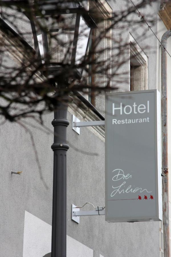 Hotel Drei Lilien Vohenstrauss Kültér fotó